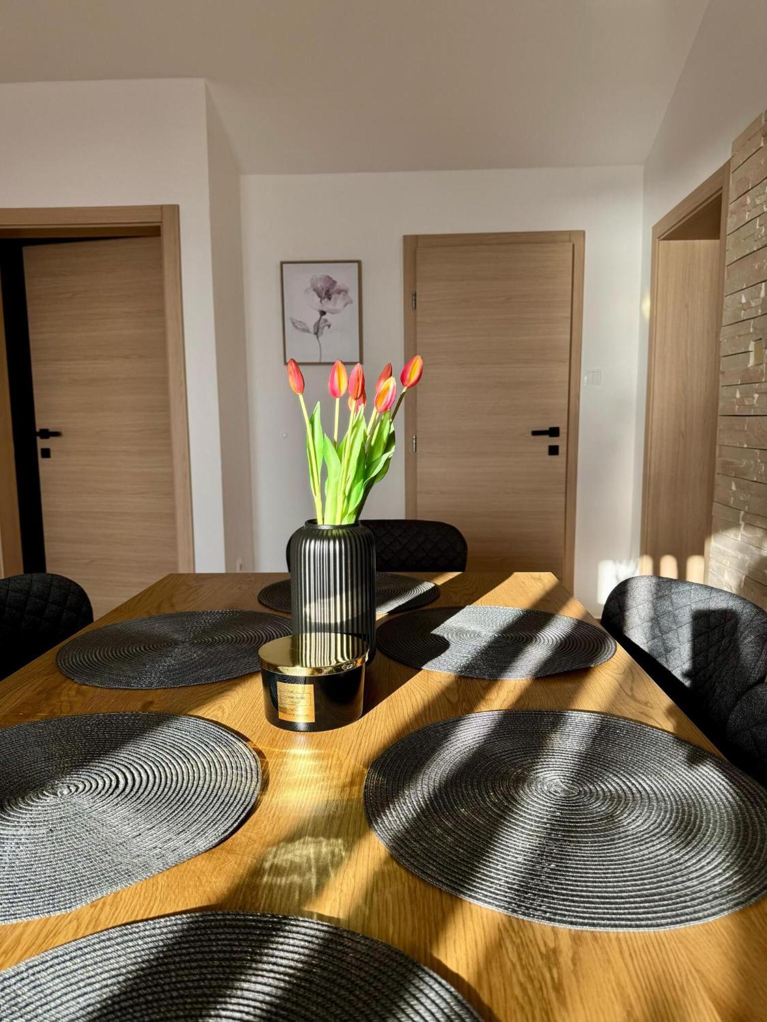 Apartments Franko ポヴリャナ エクステリア 写真
